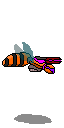 Wasp.png