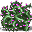 Shrubbery.png