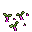 sprouts.png