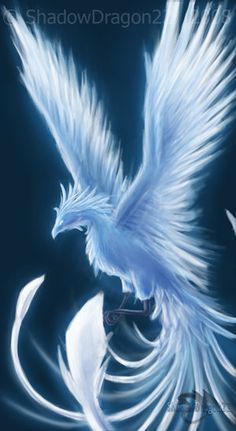 The blue phoenix 1