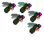 Flood_bloatflies.png