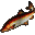 Salmon.png