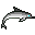 dolphin.png