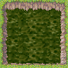 Green_swamp.png