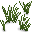 swamp grass.png