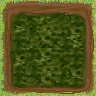 Green_swamp2.png