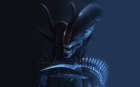 Ya say me why should I be in a fantasy game and not in a spaceship hunting your kin?