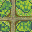 Forest Road.png